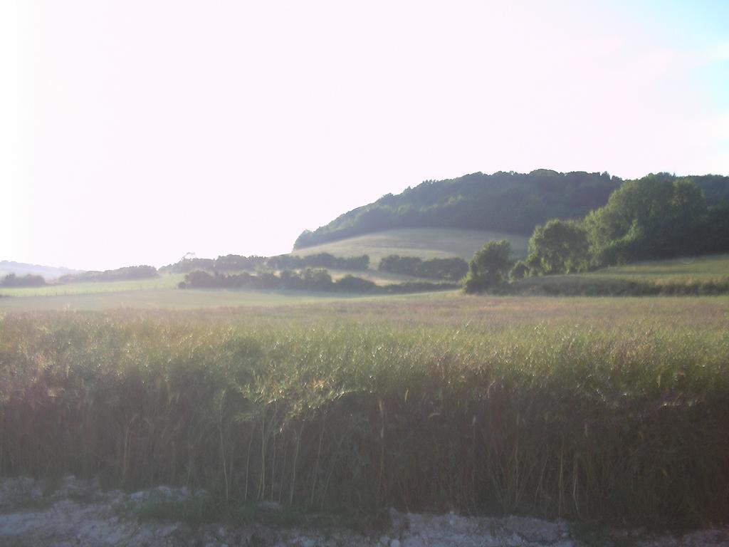 Gite "La Solitude" Licques Kamer foto